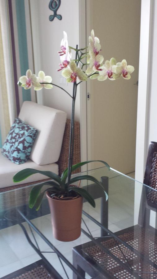 Playa Serena Mar Y Golf Gran Terraza 滨海罗克塔斯 外观 照片